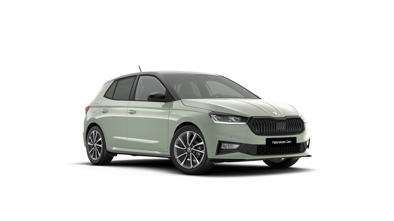 Compacto (Skoda Fabia o similar)